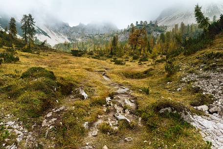 Autumn is coming on Campuross meadows