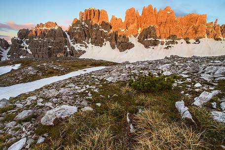 A cold morning in Val Monfalcon di Forni.