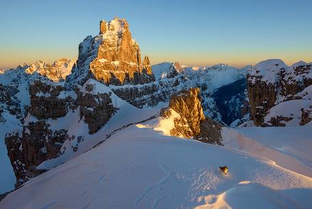 A snow finch on the snow, in the background Monfalconi di Forni chain mountain