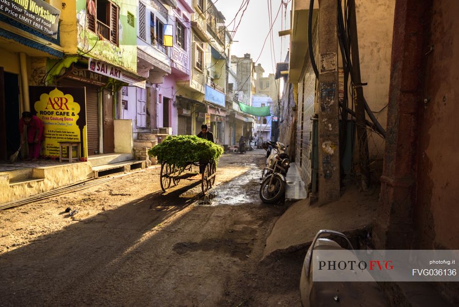 door to door worker in Jojawar, Rajasthan, India