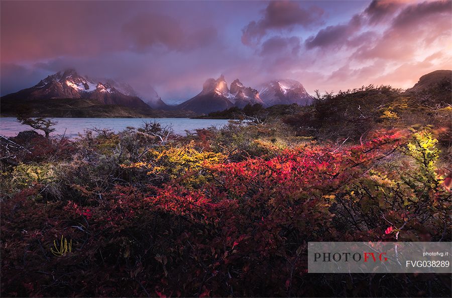 Beautiful autumnal landscape of Torres del Paine national park, Chile, South America