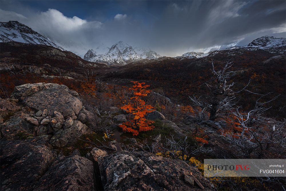 Autumnal landscape of Fitz Roy Mountain Range, Los Glaciares National Park, Patagonia, Argentina