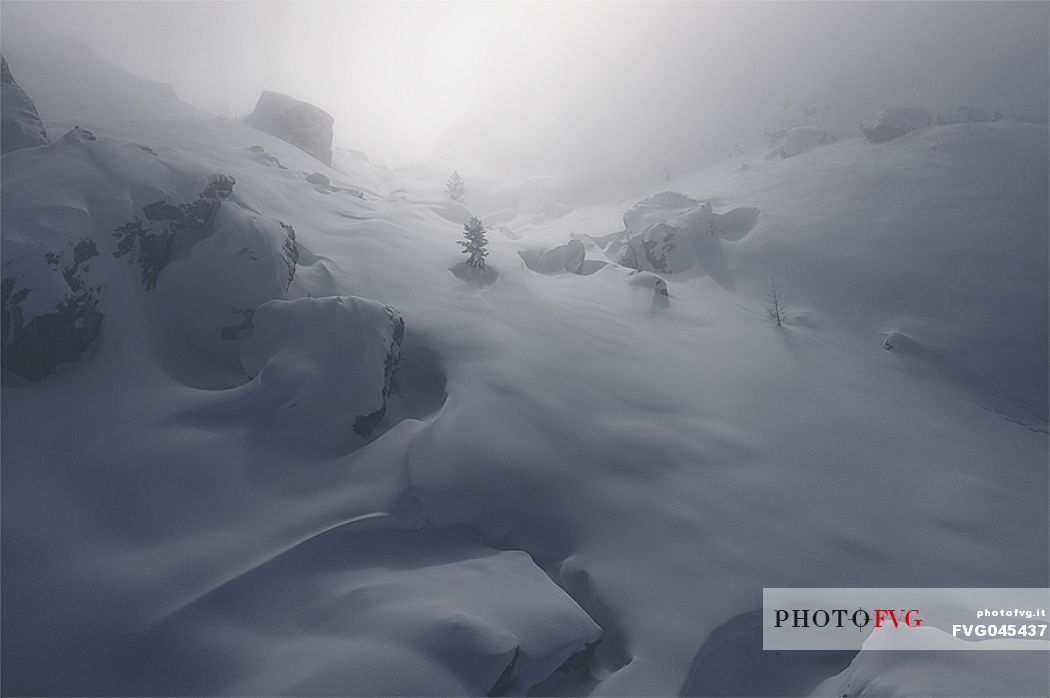 Wild landscape in the snow storm, Cortina d'Ampezzo, Dolomites, Italy, Europe