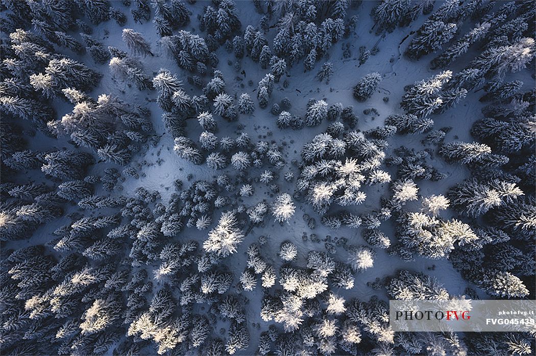 Aerial photo of the forest in the Dolomites, Cortina d'Ampezzo, Veneto, Italy, Europe