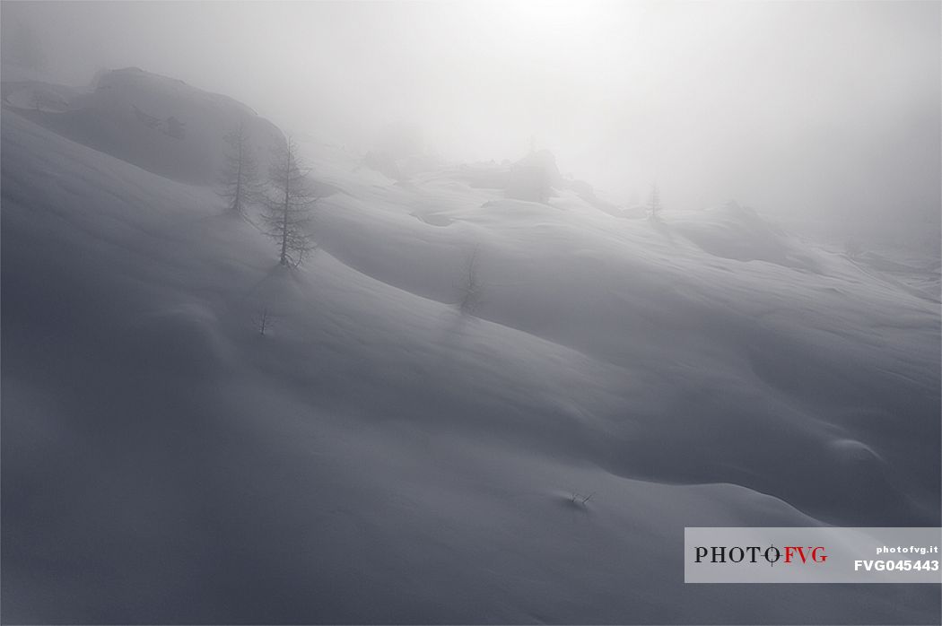 Wild landscape in the snow storm, Cortina d'Ampezzo, Dolomites, Italy, Europe