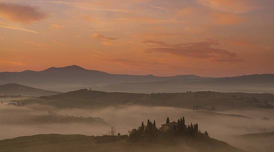 sunset over cypres in toscana