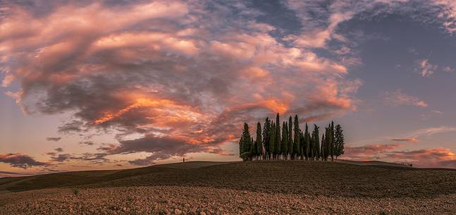 sunset over cypres in toscana