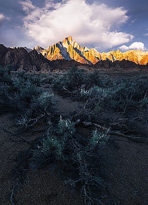 Whitney mount at sunrise, Alabama hills, Sierra Nevada, California, USA