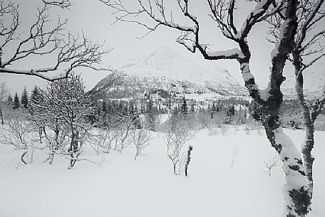 Lofoten islands after a snowfall, Norway