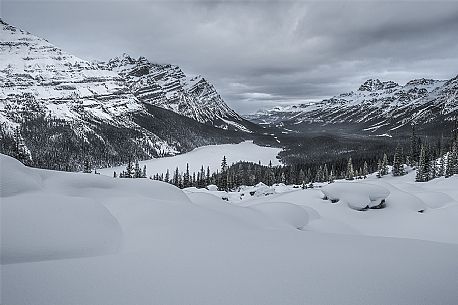 Winter in Peyto Lake in Mistaya Valley against Caldron Peak and Mount Patterson, Bow Summit, Banff National Park, Alberta, Canada Winter in Peyto Lake in Mistaya Valley against Caldron Peak and Mount Patterson, Bow Summit, Banff National Park, Alberta, Canada