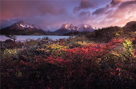 Beautiful autumnal landscape of Torres del Paine national park, Chile, South America Beautiful autumnal landscape of Torres del Paine national park, Chile, South America