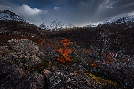 Autumnal landscape of Fitz Roy Mountain Range, Los Glaciares National Park, Patagonia, Argentina