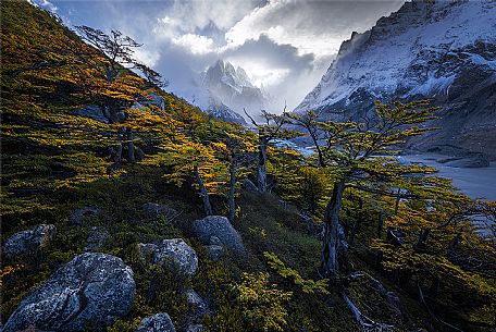 Misty day at Cerro Torre, El Chalten, Los Glaciares National Park, Santa Cruz, Patagonia, Argentina