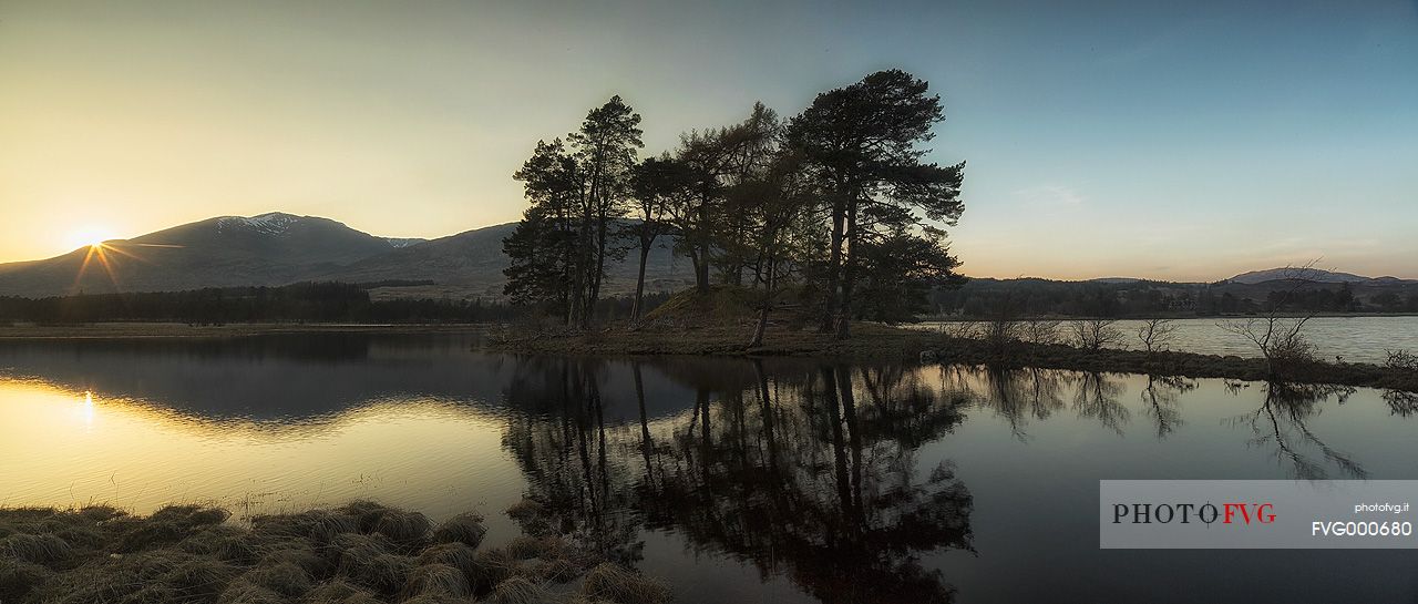 Two scots pines at sunset at Loch Tulla, Inveroran