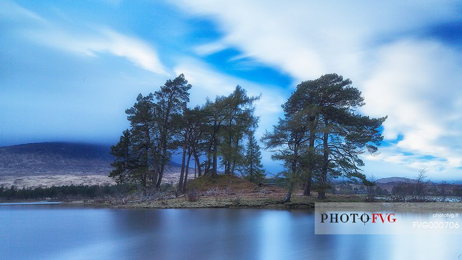 Two scots pines at sunset at Loch Tulla, Inveroran