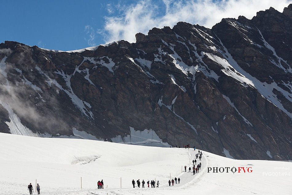 Trekkers on Aletsch glacier, the largest in Europe, started from Jungfraujoch, the highest railway station in the Alps, Bernese alps, Switzerland, Europe