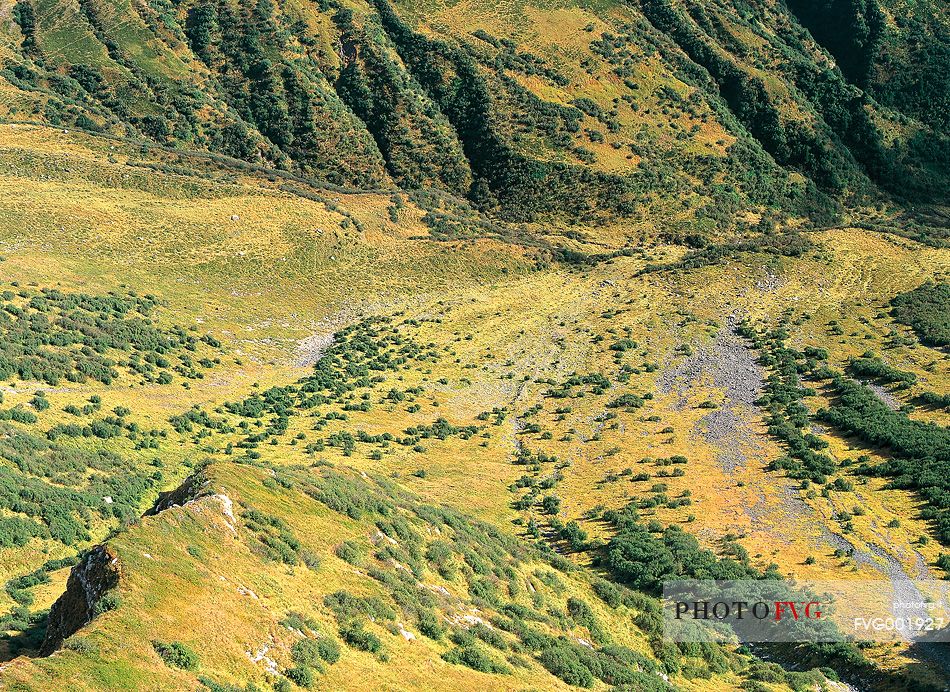 Lights and colours in Chiaula brook valley, view from Mount Crostis