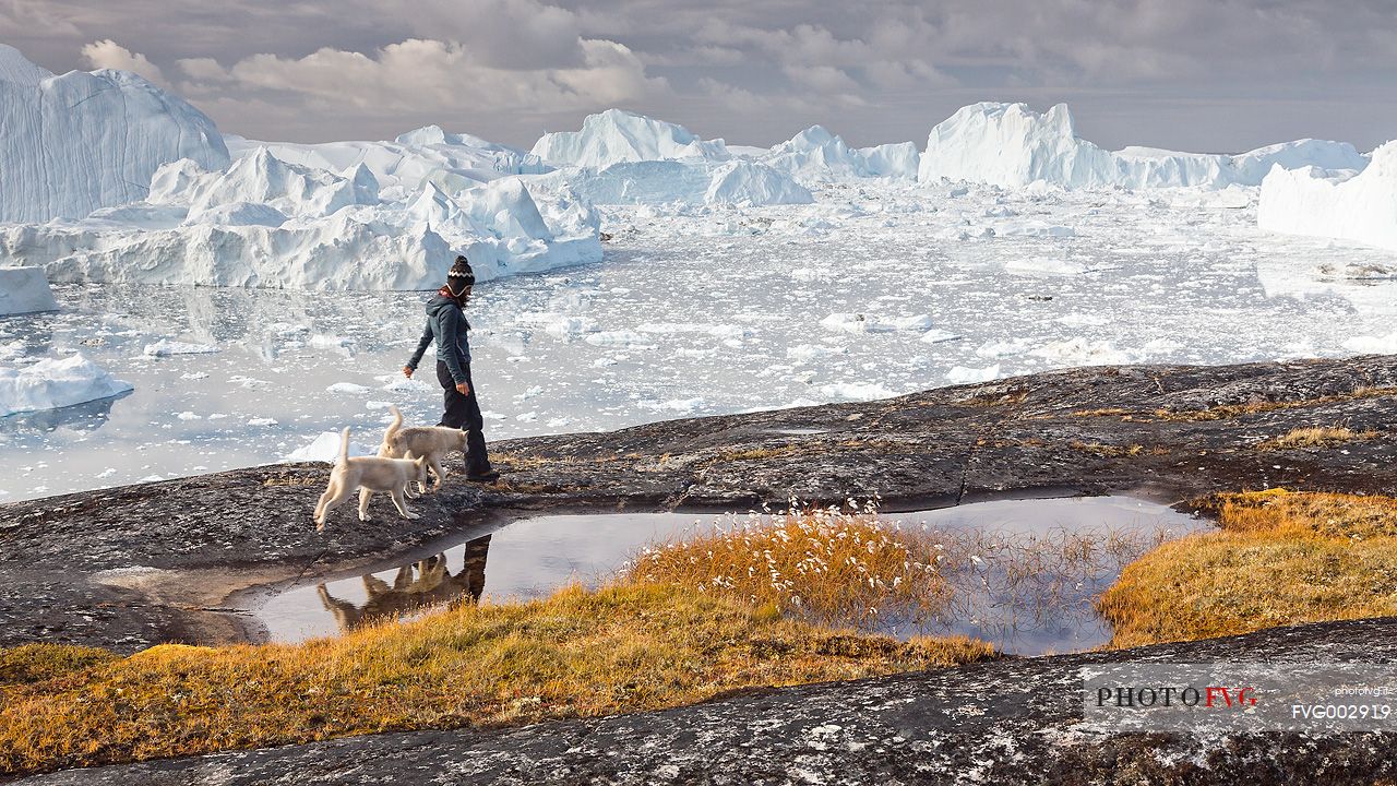 Hiking and action near a small pond; in foreground a girl and a greenland husky together, in the background icebergs in Kangerlua  Fjord