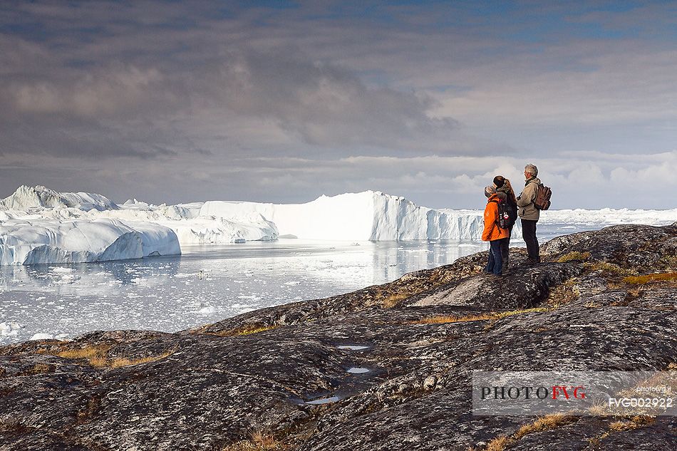Tourist's contemplation of icebergs in Kangerlua  Fjord