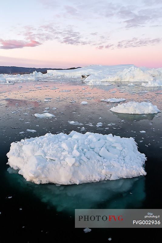 Moonlight over the icebergs of Kangerlua Fjord at dusk