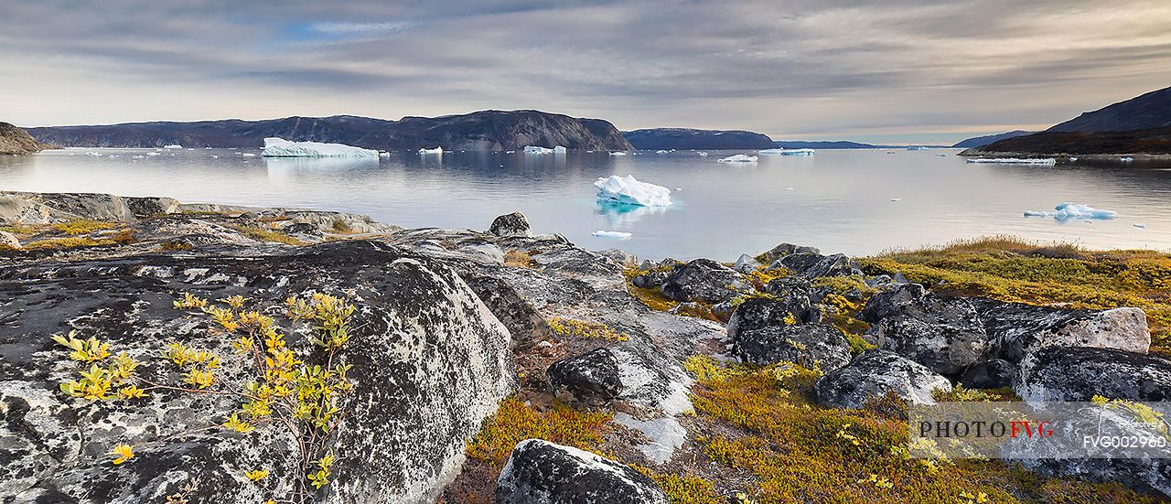 Reefs, sea with icebergs of Ataa a small village of
fishermen and seal hunters which was abandoned in the 50s