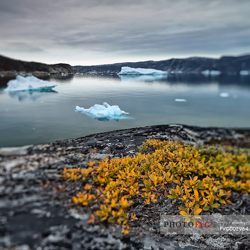 Reefs, sea with icebergs of Ataa a small village of
fishermen and seal hunters which was abandoned in the 50s