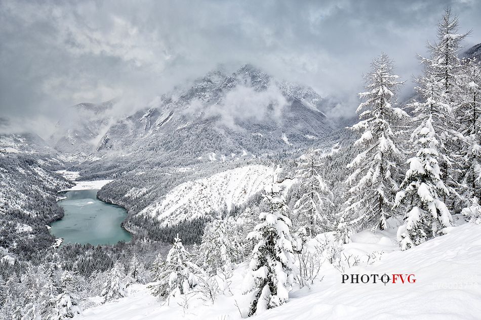 Heavy snowfall on fir-trees.
A magic landscape around the lake of Vajont in the Dolomiti Friulane Natural Park