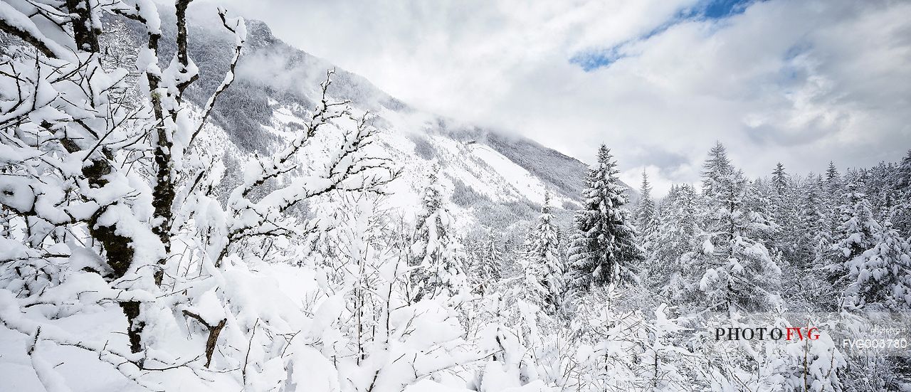 Today mount  Toc after the disastrous landslide caused one of the biggest tragedies in Italy, the Vajont