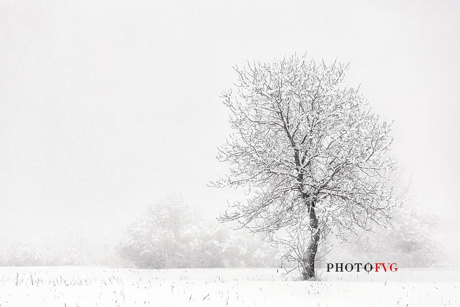 Snow covered evrithing near alpine town of Claut