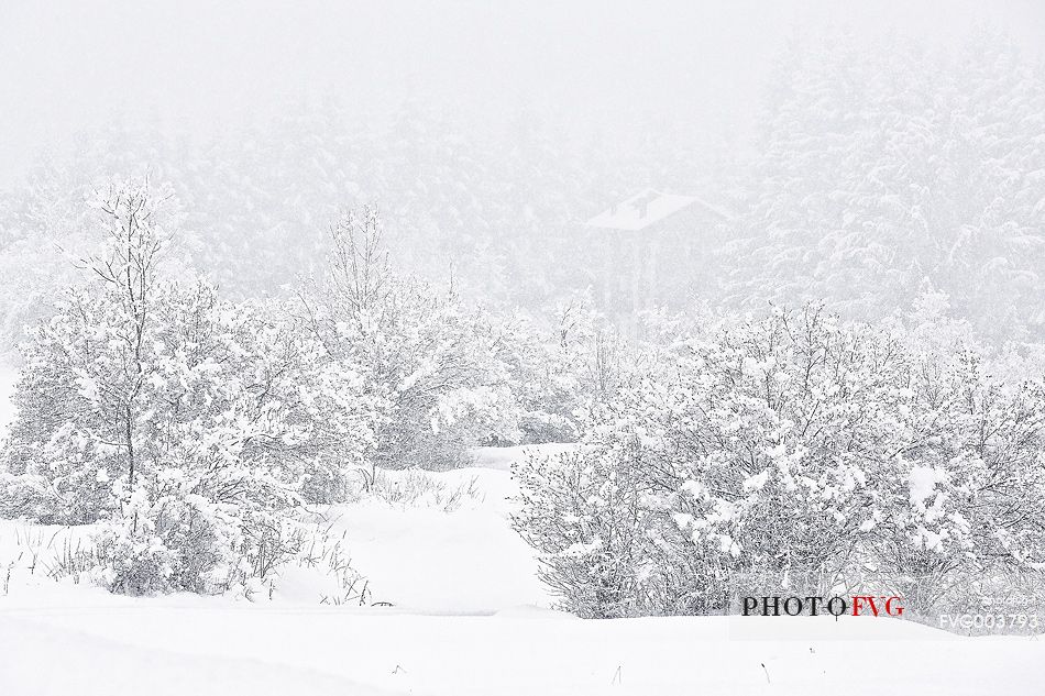 Snow covered evrithing near alpine town of Claut