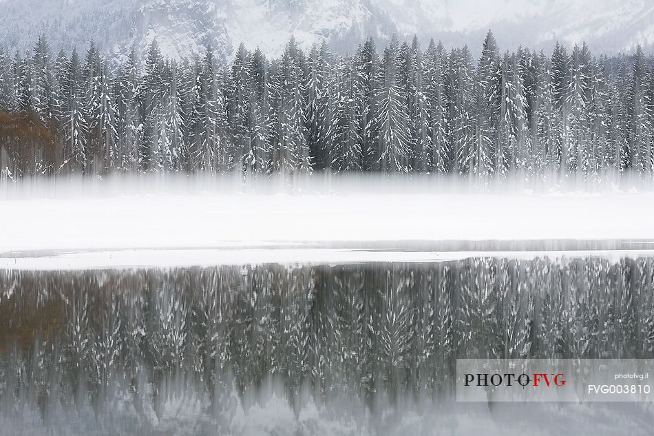 Fusine Lake and firs forest after an intense snowfall