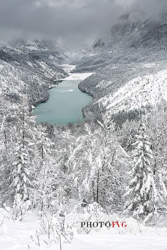 Heavy snowfall on fir-trees.
A magic landscape around the lake of Vajont in the Dolomiti Friulane Natural Park