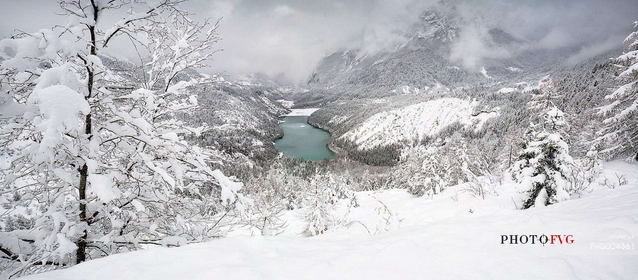 Heavy snowfall on fir-trees.
A magic landscape around the lake of Vajont in the Dolomiti Friulane Natural Park