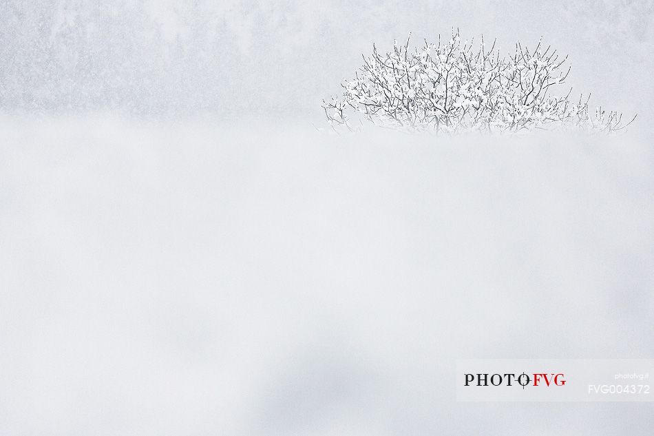 Snow covered everything near alpine town of Claut