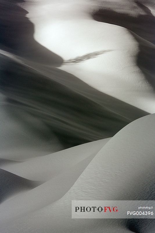 Forms and composition on snow field
