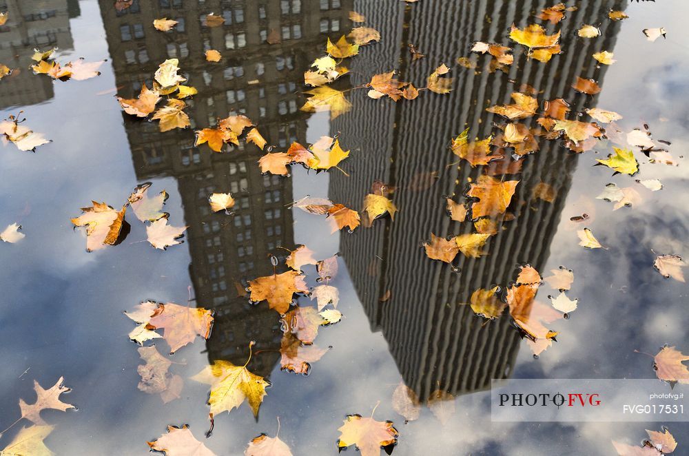 Midtown skyscrapers reflected in the puddle