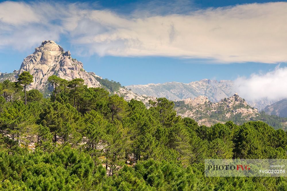 Looking towards the  Aiguilles de Bavella mountain range from Ospedale forest, Corsica