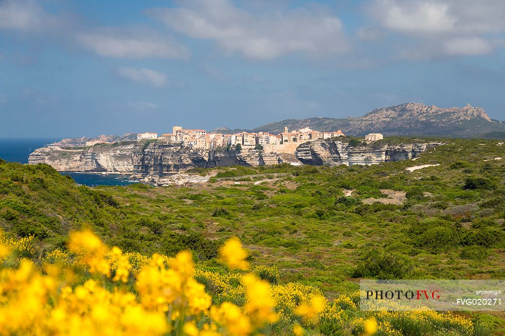 Bonifacio from the trail to Cape Pertusato