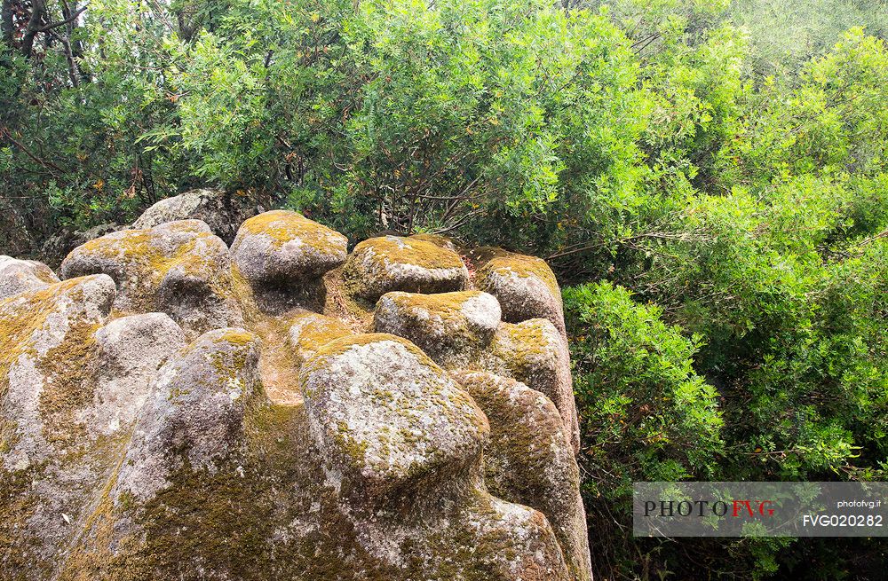 The prehistoric site of Filitosa near Sartene