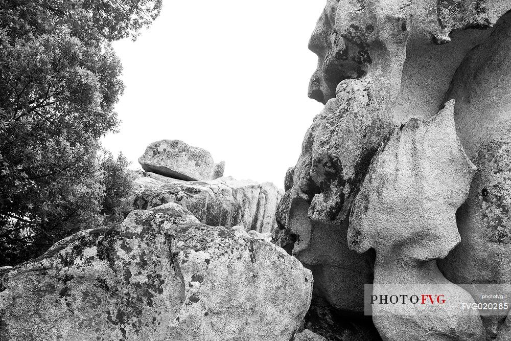 The prehistoric site of Filitosa near Sartene