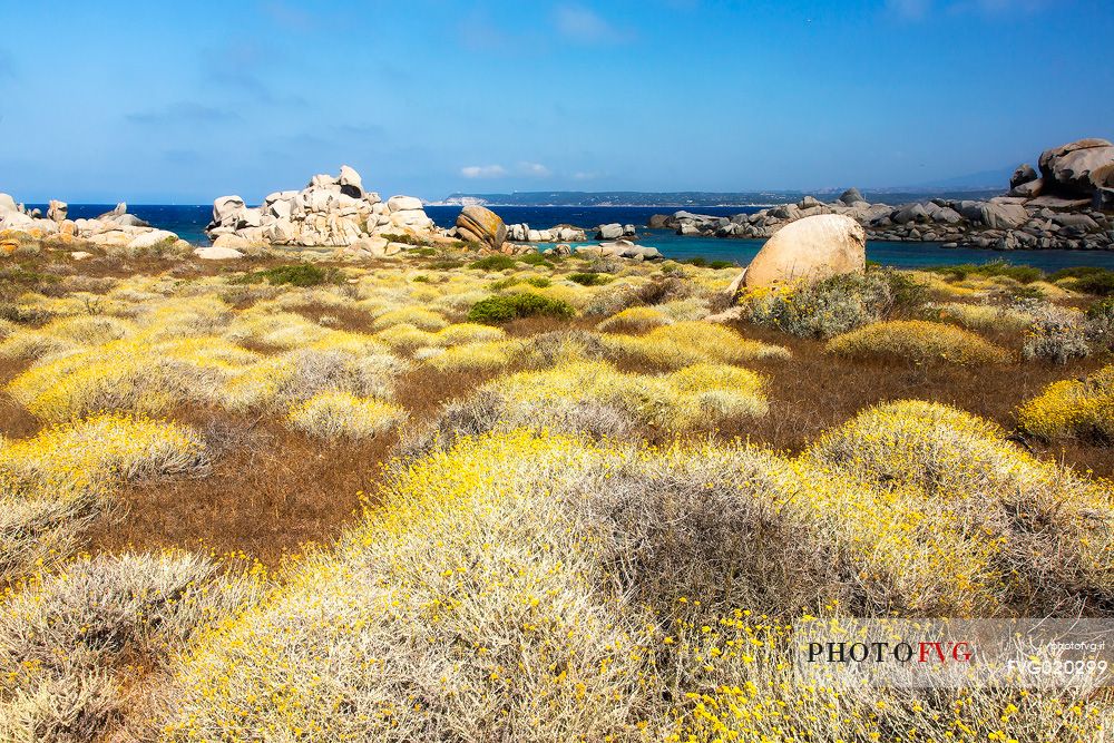 Lavezzi islands in the natual reserve of Bocche di Bonifacio, in the background the village of Bonifacio and its white cliffs