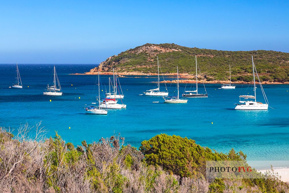 The beautiful beach on Rondinara