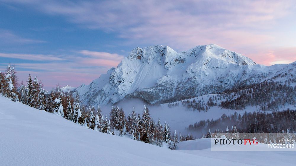 Mount Bivera and the beautiful winter landscape that you meet along the road from Sauris to Casera Razzo.