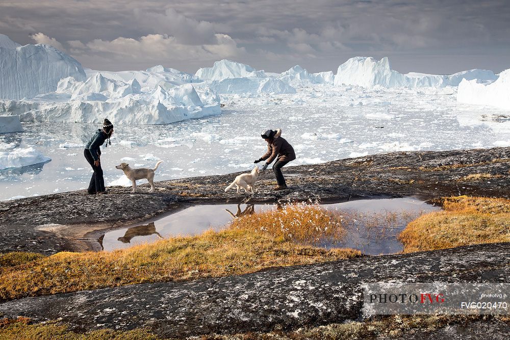 Two girls and two Greenland Husky pups funning near a small pond; in the background icebergs in Kangerlua  Fjord