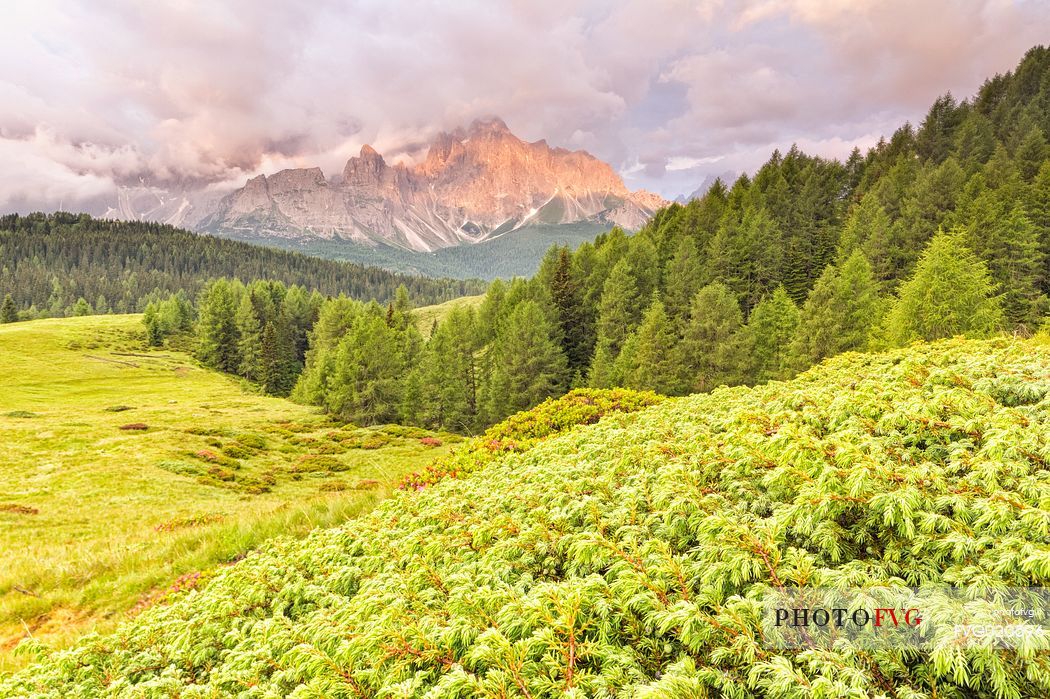 Dawn of Sesto Dolomites from pastures of Malga Nemes, South Tyrol, Italy