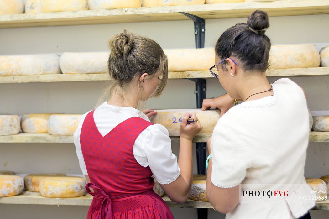 Maturation of a mountain cheeses at Rinfreddo hut, Comelico, Dolomites, Italy