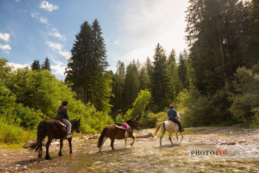 Horse ride in Val Grande, Cadore, Italy