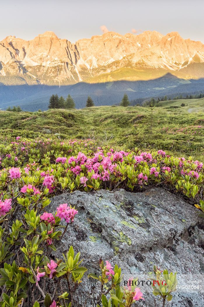 Sunrise on Mount Popera from Quatern summit, dolomites, Italy