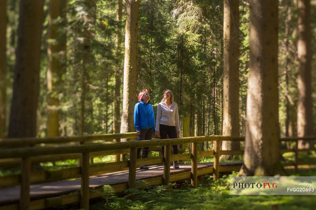 Hikers in the forest of Val Visdende, Comelico, Italy