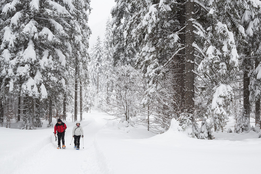 Two hikers along the path towards Refuge Zacchi under an heavy snowfall